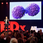 Tedx Alkmaar